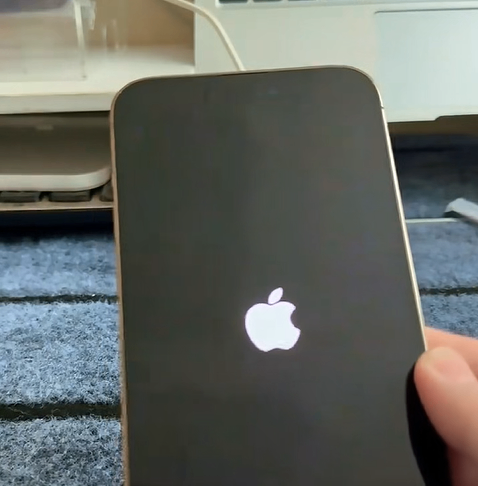 iphone screen vendors