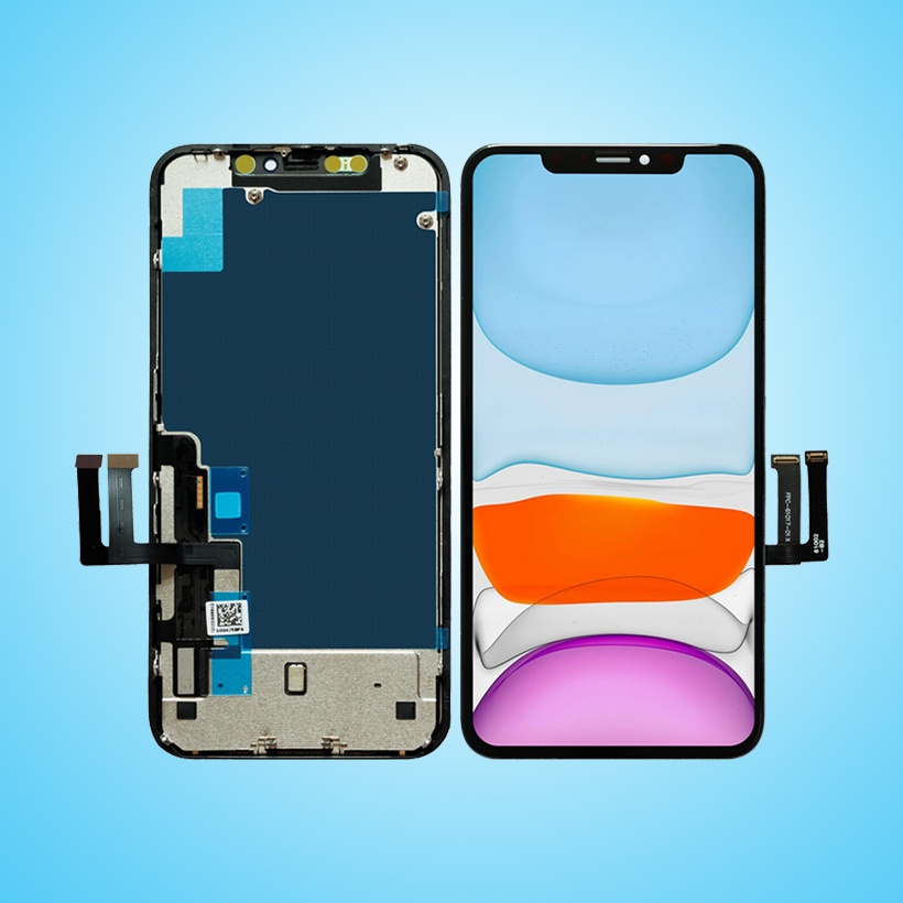 iPhone 11 Display