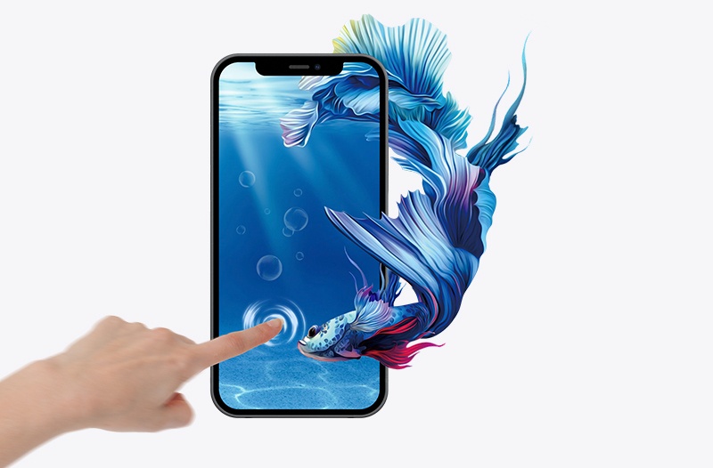 iPhone 11 Screen