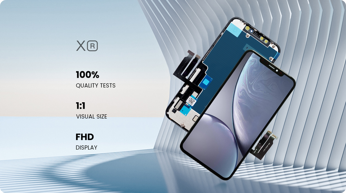 detail xr (1)